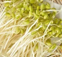 Bean sprouts
