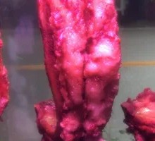 Pork Ribs