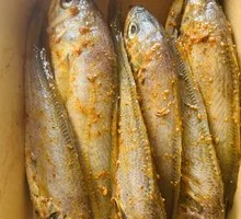 Yellow Croaker