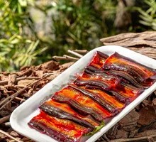 Freshly Killed Mud Eel
