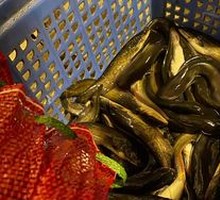 Special Small Carp