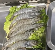 Large Green Shrimp