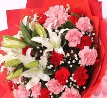 Lily Flower