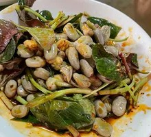 Tender Broad Beans with Earroot Salad