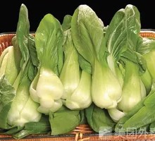 Stir-fried Bok Choy