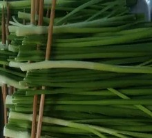 Leek