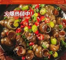 Spicy Snail in Hot Sauce