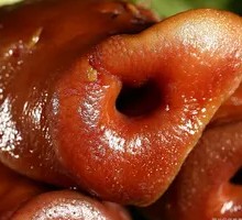 Five-Spice Pig's Tongue