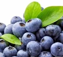Chinese Blueberries