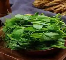 Pea Shoots