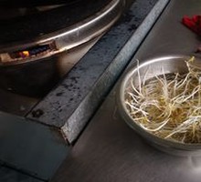Bean sprouts