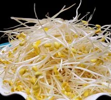 Mung Bean Sprouts