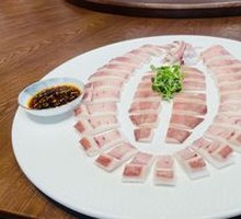Squid