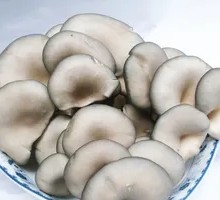 Enoki Mushroom
