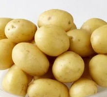 Potato
