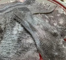 Fresh Beef Tripe from the Slaughterhouse