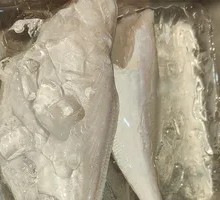 Snakehead Fish