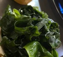 Sea lettuce