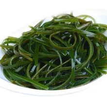 Kelp