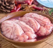 Sheep Brain and Brainstem