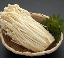 Enoki Mushroom