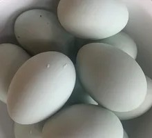 Salted duck egg