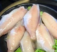Snakehead Fish