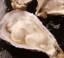 Fresh-Opened Rushan Oysters