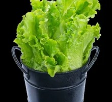 Lettuce Wraps with Beef