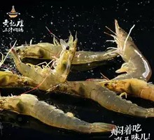 Fresh Shrimp