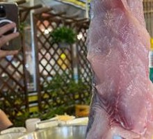 Special Ecological Fish