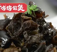 Wild Wood Ear
