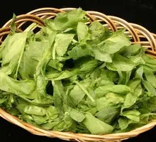 Pea Shoots