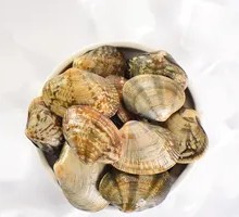 花甲