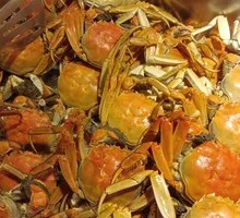 Freshwater Crab