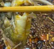 Flower Carp