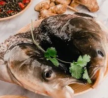 Bighead Carp Head