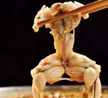 Freshly Killed Frog