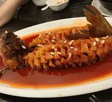 Squirrel Fish
