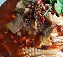 Premium Maoxuewang