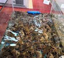 Crab