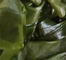 Kelp