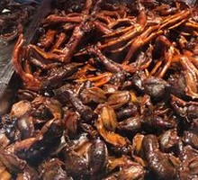 Sauced Duck Feet