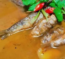 Yellow Croaker