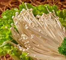 Enoki Mushroom