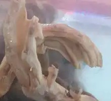 Salted Duck Feet
