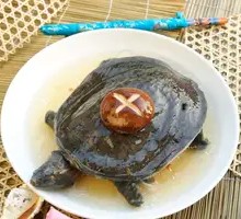 Steamed Softshell Turtle
