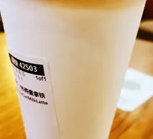 Hot Oat Milk Latte
