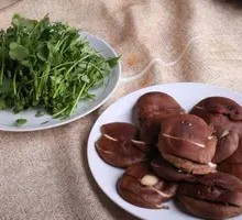 Shiitake Mushroom