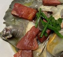 Steamed Softshell Turtle
